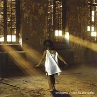 Amalgama (USA) : When the Dust Settles